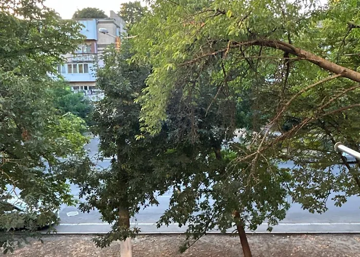 Cozy Retro Near Park Apartment *