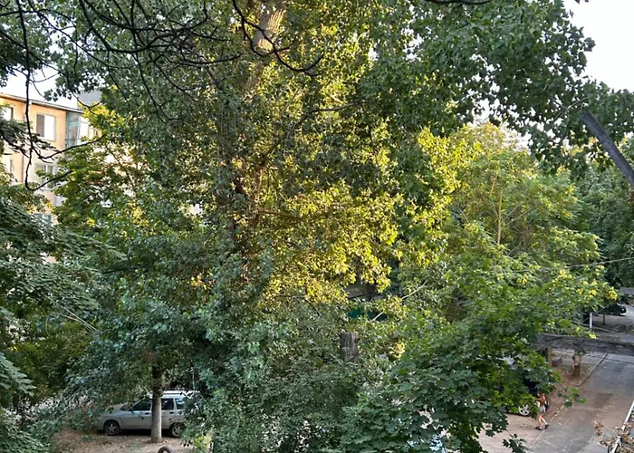 Cozy Retro Near Park דירה